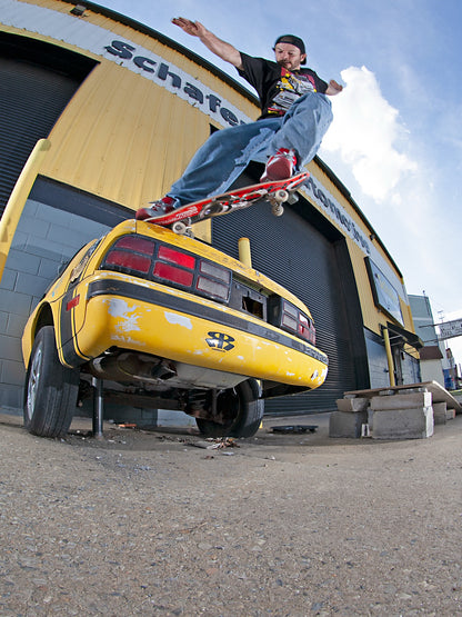 【DGK】PREMIUM VISION BRIAN PANEBIANCO